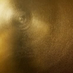 Best Sale 🔔 Threshold Designed W/Studio McGee Adjustable Brass Accent Table - Threshold™ designed with Studio McGee 👍 -End And Side Tables shop unnamed file 1037