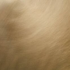 Cheapest 😉 Threshold Designed W/Studio McGee Fielding Pedestal Accent Table - Threshold™ designed with Studio McGee Aged Brass 😀 -End And Side Tables shop unnamed file 999